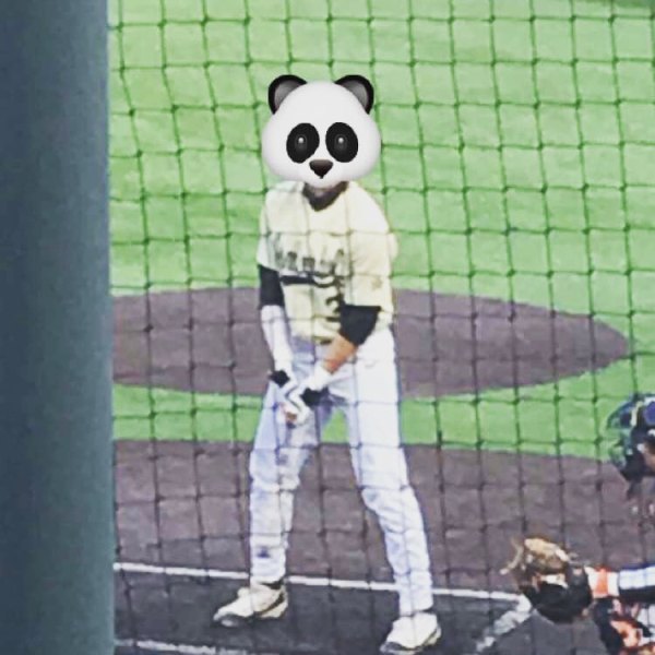 13183279_1225436994141111_489212531_n